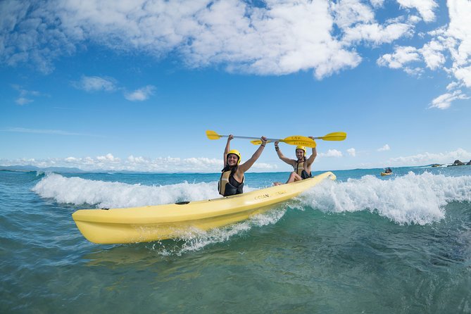 Kayaking with Dolphins in Byron Bay Guided Tour - Turtles, whales, and the lucky bonus