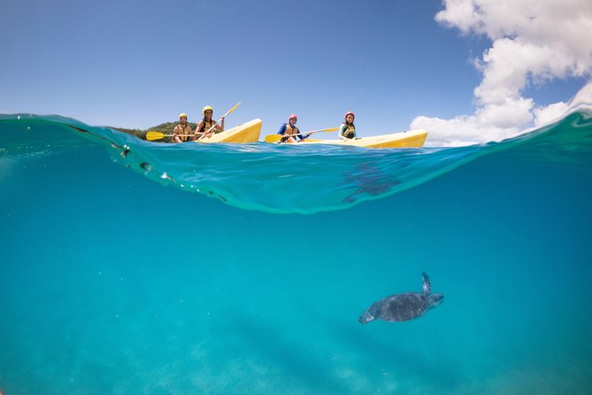 Kayaking with Dolphins in Byron Bay Guided Tour - Beach stop, hot drinks, and Tim-Tams