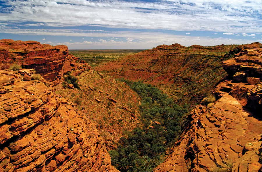Kings Canyon: Full-Day Tour from Ayers Rock Resort - Key points to know before booking
