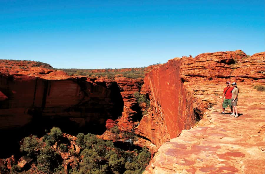 Kings Canyon: Full-Day Tour from Ayers Rock Resort - The 4 AM departure and the ride to Kings Creek Station