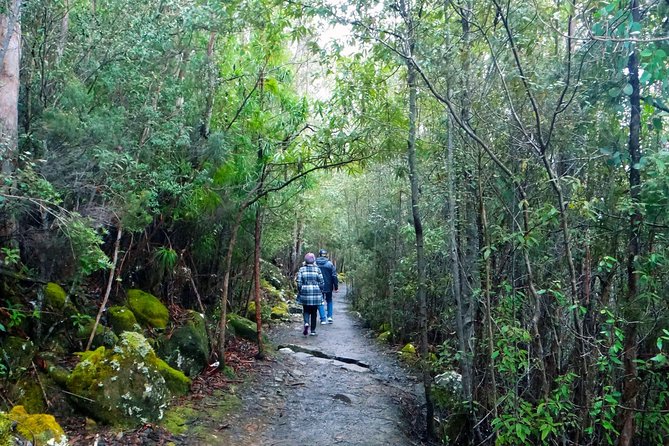 kunanyi/Mt Wellington Explorer Bus- Return Tour (2.5 hours) - The Chalet and the Organ Pipes Walk