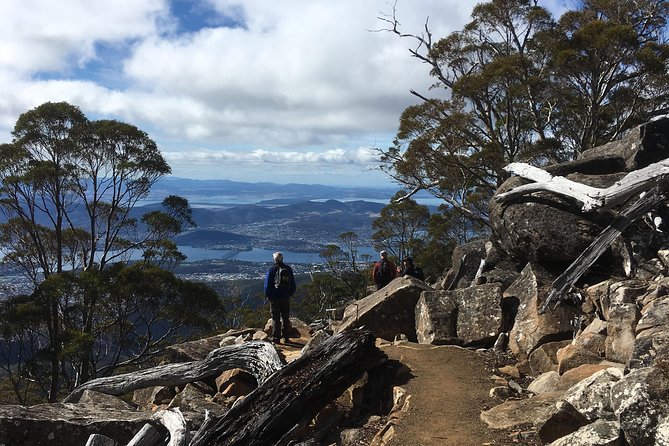 kunanyi/Mt Wellington Explorer Bus- Return Tour (2.5 hours) - Thirty minutes at the summit