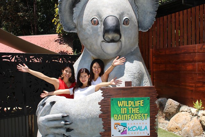 Kuranda Koala Gardens and Birdworld Admission Tickets - Feeding kangaroos and wallabies under supervision