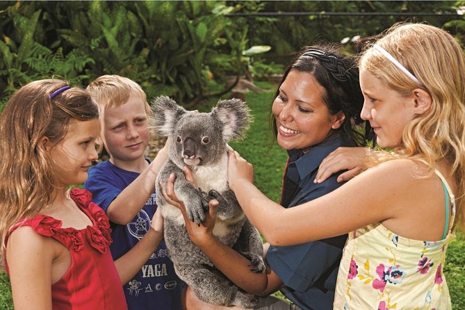 Kuranda Koala Gardens General Entry Ticket - Conservation gives the admission a wider purpose