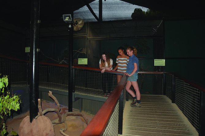 Kuranda Koala Gardens General Entry Ticket - How long you need and how to fit it into Kuranda