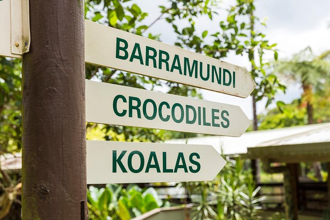 Kuranda Scenic Railway Day Trip from Cairns - Making sense of your time in Kuranda