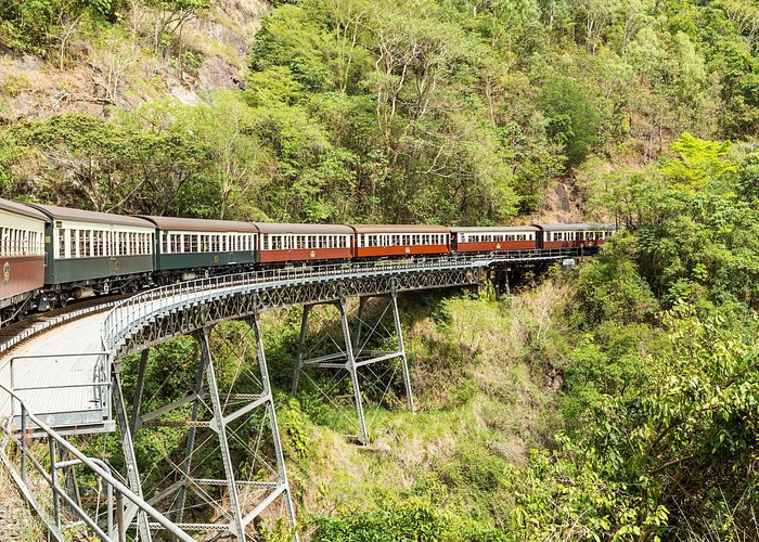 Kuranda Scenic Railway Day Trip from Cairns - Optional wildlife stops and their real value