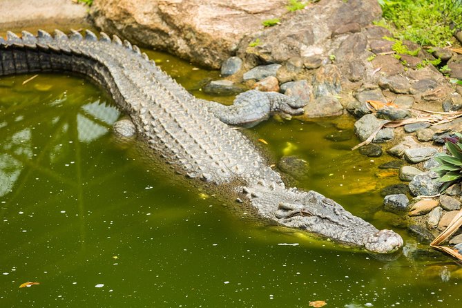 Kuranda Scenic Railway Day Trip from Cairns - Who will enjoy this day most?
