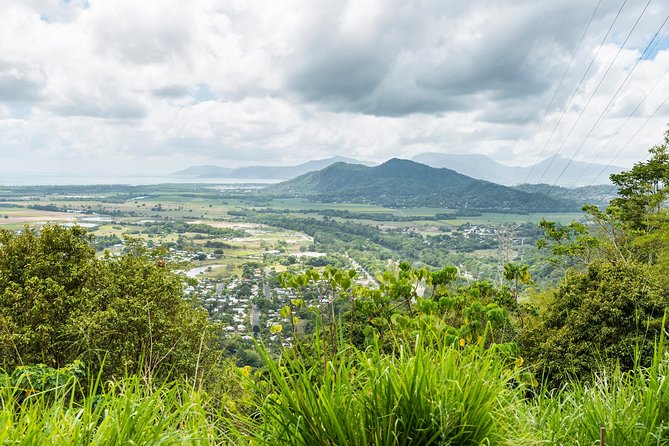 Kuranda Scenic Railway Day Trip from Cairns - Riding above the canopy on Skyrail