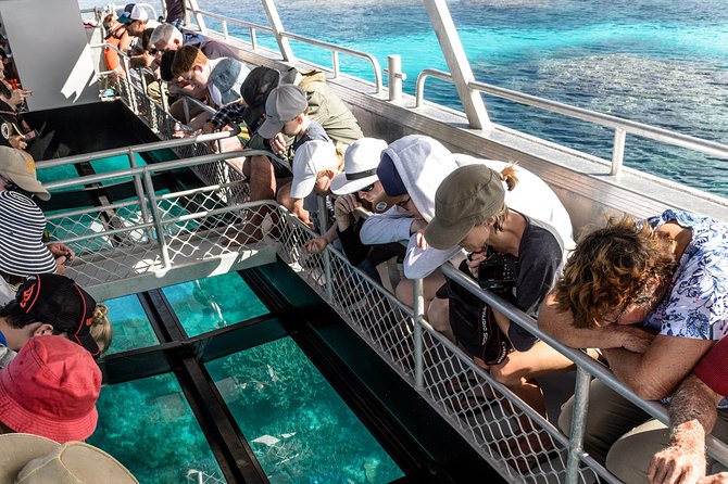 Lady Musgrave Day Trip from Bundaberg Including Snorkeling - Leaving Bundaberg early for the southern reef