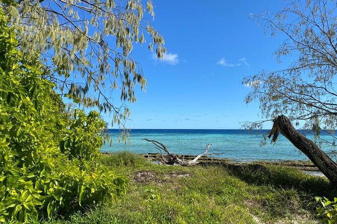 Lady Musgrave Day Trip from Bundaberg Including Snorkeling - Walking Lady Musgrave Island with a guide