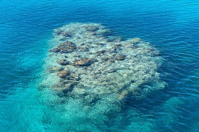 Lady Musgrave Day Trip from Bundaberg Including Snorkeling - Is the $240.64 price good value?
