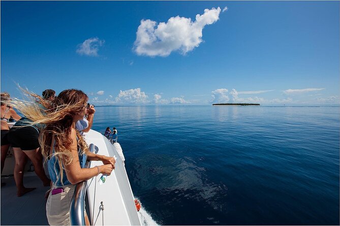 Lady Musgrave Day Trip from Bundaberg Including Snorkeling - Who should book this Lady Musgrave day trip?