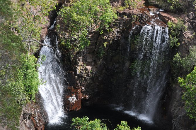 Litchfield and Jumping Crocodiles Full Day Trip from Darwin - Five things to know before you book