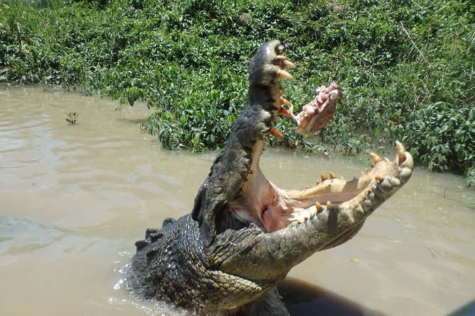 Litchfield and Jumping Crocodiles Full Day Trip from Darwin - Who should book this experience