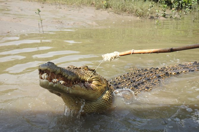 Litchfield and Jumping Crocodiles Full Day Trip from Darwin - Litchfield’s waterfalls and swimming holes