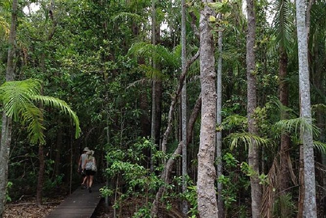 Litchfield National Park and Jumping Crocodile Cruise - Key points at a glance