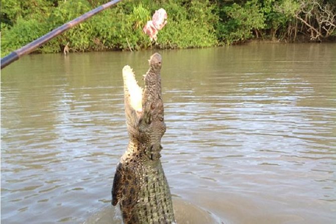 Litchfield National Park and Jumping Crocodile Cruise - Booking, cancellation, and weather notes
