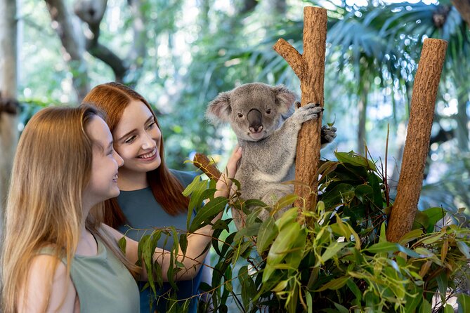 Lone Pine Koala Sanctuary Day Pass - Raptor flight show: eagles, owls, and kites in motion