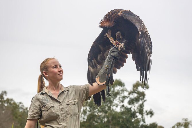 Lone Pine Koala Sanctuary Day Pass - Food, photos, and extra costs