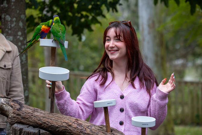 Lone Pine Koala Sanctuary Day Pass - Is it suitable for families and older visitors?