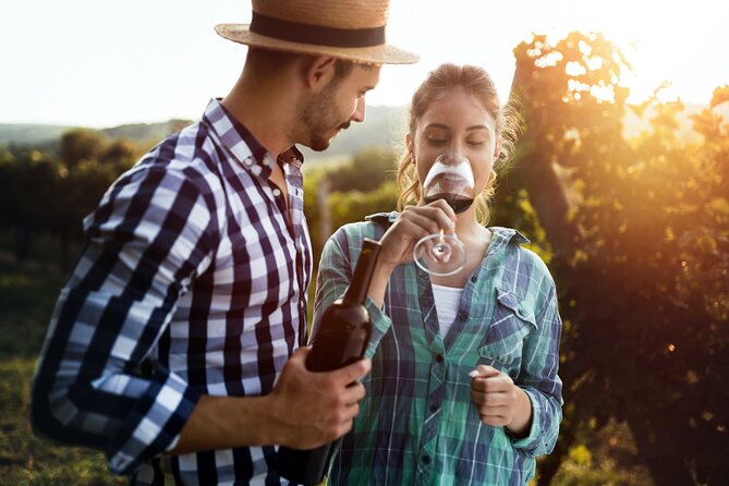 Luxury Hunter Valley Wildlife & Wine Tasting Tour from Sydney - Cheese, olive oil, and chocolate at Fat Cow