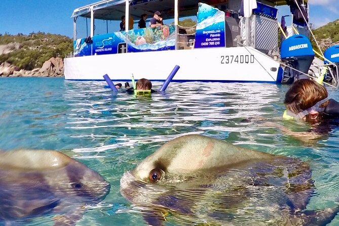 Magnetic Island Discovery Tour with Snorkeling & Paddle Boarding - Morning tea on a beach