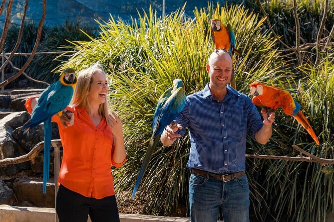 Maleny Botanic Gardens Bird Aviary Experience Ticket - Meeting the birds at Maleny Botanic Gardens