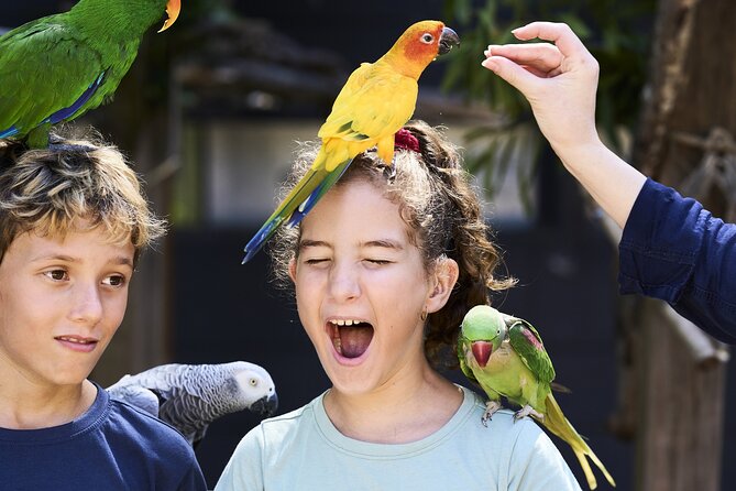 Maleny Botanic Gardens Bird Aviary Experience Ticket - Family attractions beyond the aviary