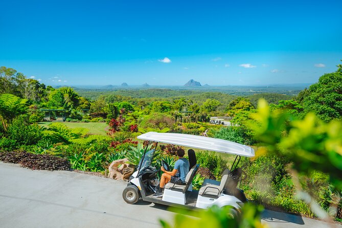 Maleny Botanic Gardens Bird Aviary Experience Ticket - Picnic views, cafe food, and free Wi-Fi