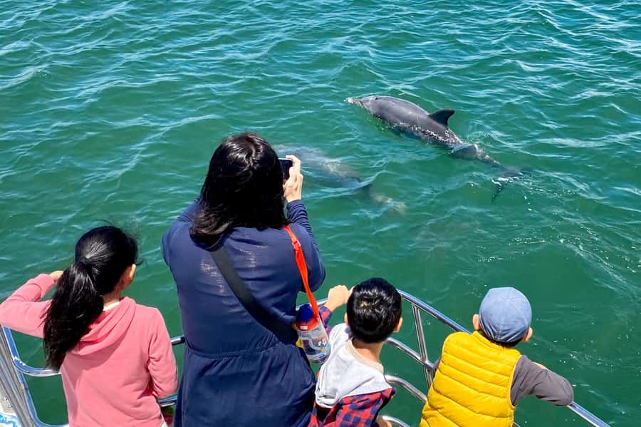 Mandurah: Dolphin and Views Cruise - Canals, waterfront homes, and the fishing harbour