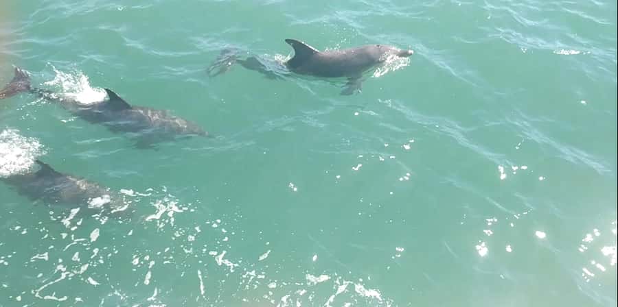 Mandurah Pirate Cruise - What happens during the 45-minute cruise