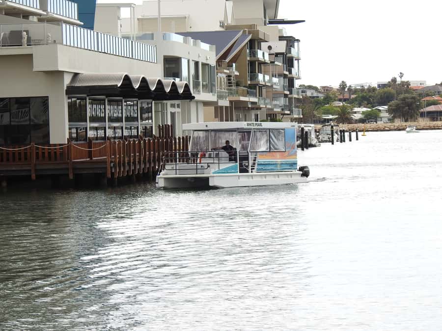 Mandurah: Sightseeing Dolphin Cruise with Tour Guide - Why Mandurah looks different from the water