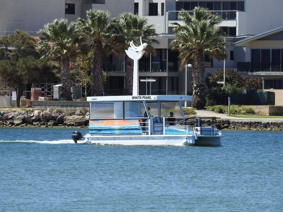 Mandurah: Sightseeing Dolphin Cruise with Tour Guide - Starting at Blue Manna Boat Hire