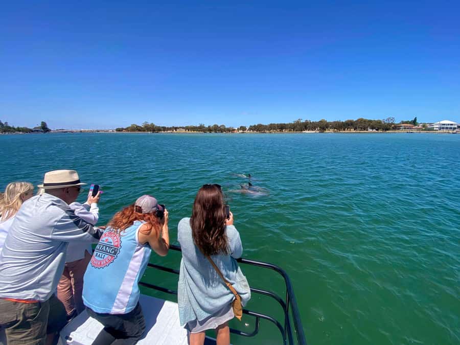Mandurah: Sightseeing Dolphin Cruise with Tour Guide - What the guide adds to the ride