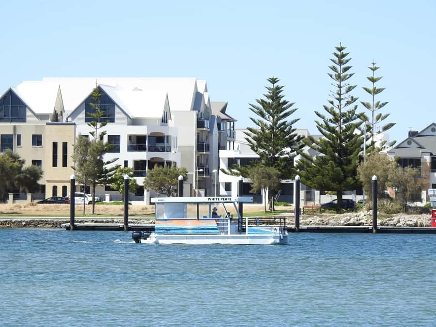 Mandurah: Sightseeing Dolphin Cruise with Tour Guide - Is $26 a fair price?