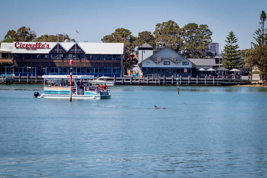Mandurah: Sightseeing Dolphin Cruise with Tour Guide - First views: the marina and Dolphin Quay