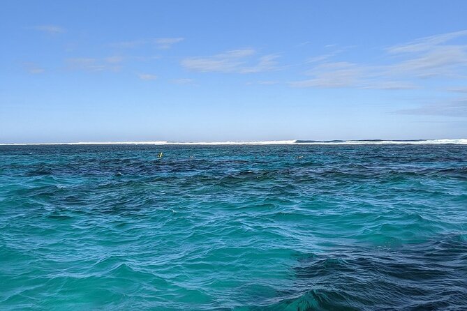 Marine Eco Safari - Swim with Manta Rays - Tea and lunch keep the long day comfortable