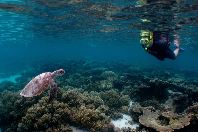 Marine Eco Safari - Swim with Manta Rays - Crew care and water safety