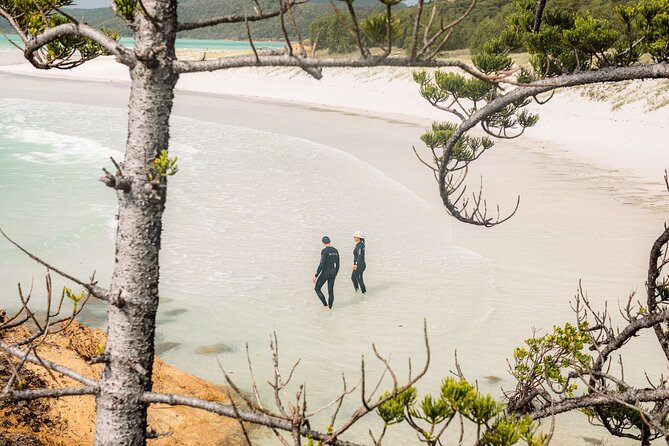 Matador Whitsundays - Snorkeling in the Great Barrier Reef Marine Park