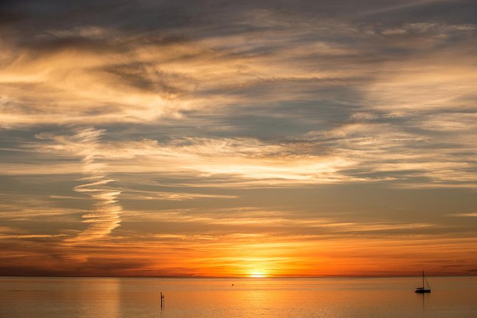 McLaren Vale and Glenelg Wine Tasting and Sightseeing (Half-day Afternoon) - What the guiding adds