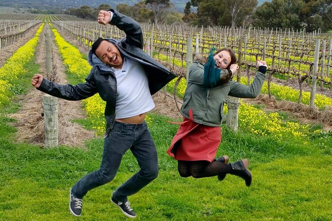 McLaren Vale Small Group Wine Tour - Key points at a glance