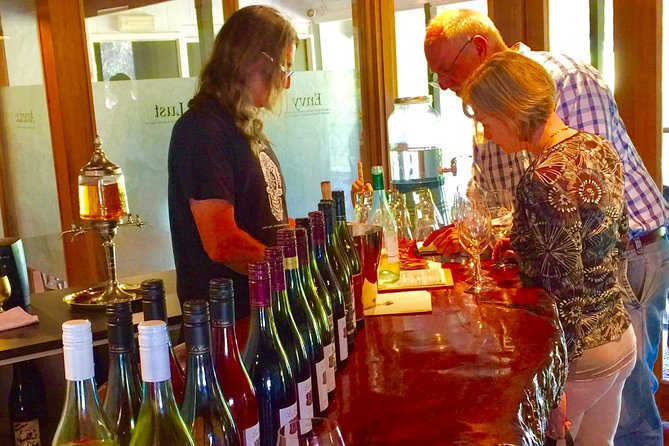 McLaren Vale Small Group Wine Tour - What the guides add to the day