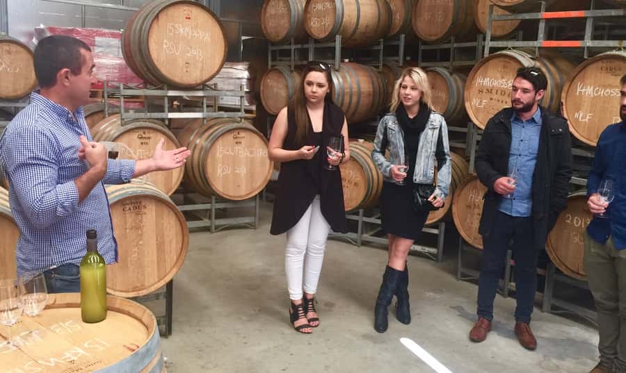 McLaren Vale: Small Group Wine Tour (Includes Lunch) - Four or five cellar doors, chosen as the day unfolds