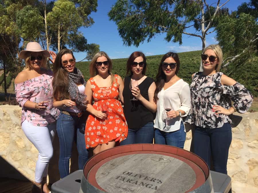McLaren Vale: Small Group Wine Tour (Includes Lunch) - Lunch on a regional platter