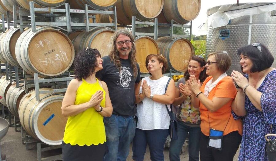 McLaren Vale: Small Group Wine Tour (Includes Lunch) - Who should book this McLaren Vale tour?