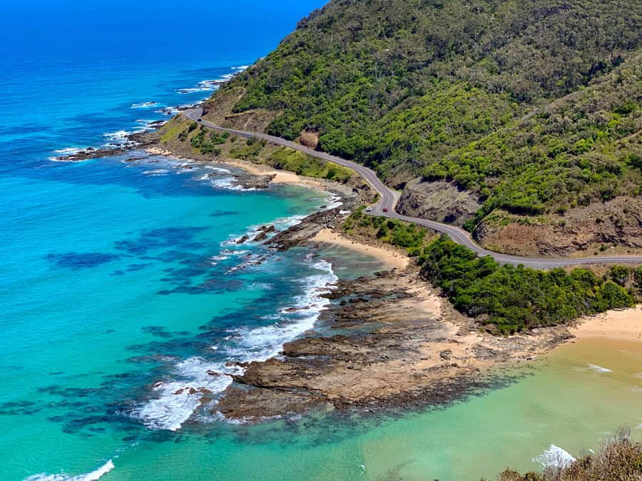 Melbourne: Great Ocean Road Extended–Top Stops&London Bridge - Searching for koalas at Barham River Road
