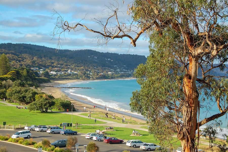 Melbourne: Great Ocean Road & Iconic Coastal Views Day Tour - Starting in Melbourne and getting moving