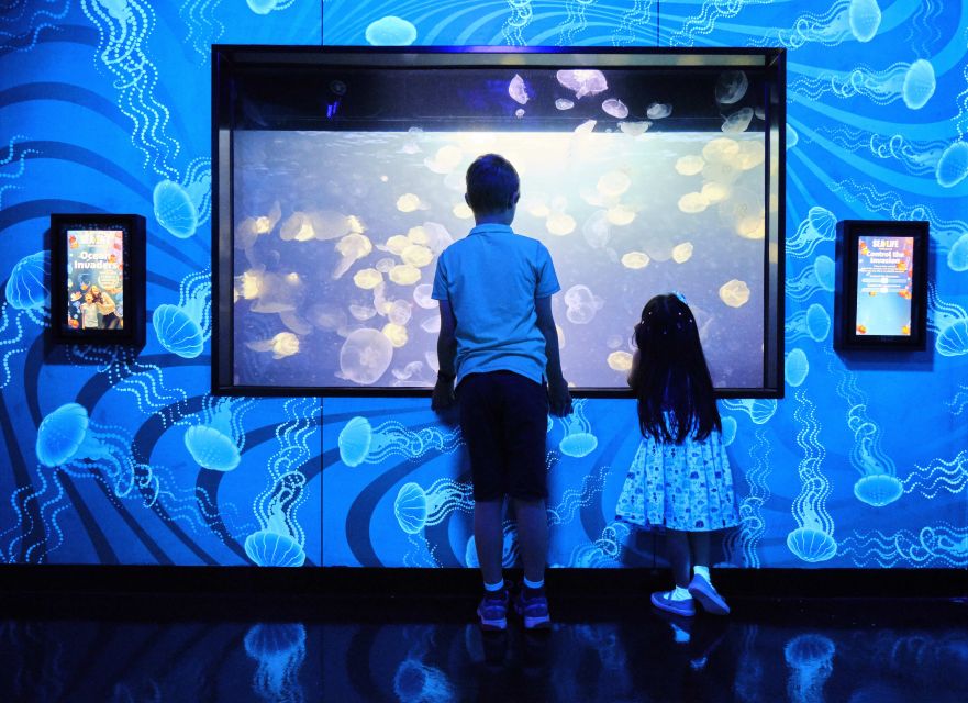 Melbourne: SEA LIFE Aquarium Entrance Ticket - Seahorses, elephant sharks, and smaller surprises
