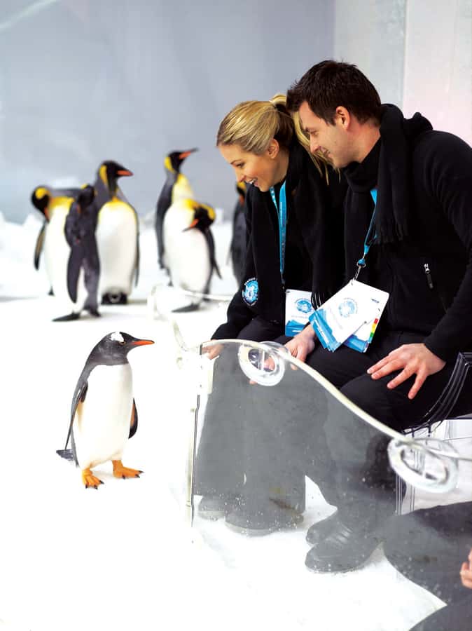 Melbourne: SEA LIFE Aquarium Entrance Ticket - Starting with sea life close to the glass